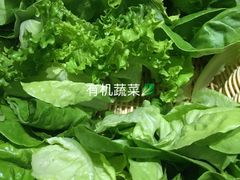 -满堂欢豆捞坊(美丽华大酒店店)