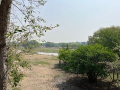 -北京麋鹿生态实验中心