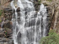 -海南热带雨林国家公园吊罗山景区