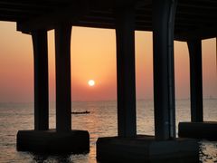 -宝安西湾红树林湿地公园