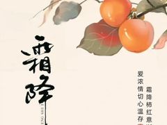 -成师傅·大宋炒菜楼(中兴路店)