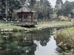-温江公园