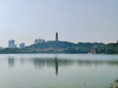 -顺峰山公园