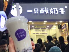 门面-一只酸奶牛(八一路店)