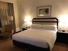 -新加坡乌节希尔顿酒店 (SG Clean)
