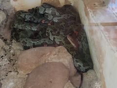 -昆明动物博物馆