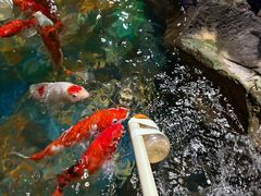 -太平洋海底世界