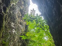 -石台牯牛降景区