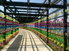 -杭州湾海上花田景区