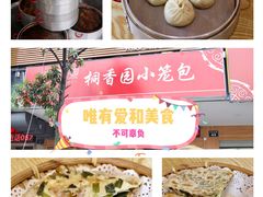 -桐香园小笼包(百井坊巷店)