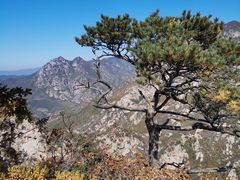 -大连天门山国家森林公园
