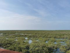 -北海金海湾红树林生态旅游区