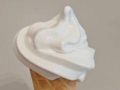 -汉堡王(徐汇绿地缤纷店)
