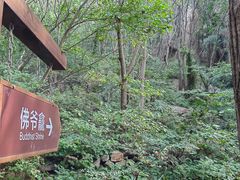 -大岭沟猕猴桃谷风景区