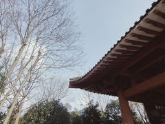 -武汉园博园(武汉自然博物馆)