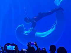 -多彩贵州城极地海洋世界