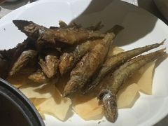 -张记旺角食街(动物园店)