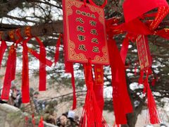 -泰山风景名胜区