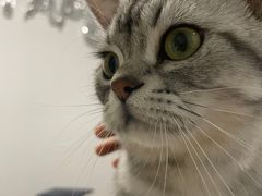 -达爱动物医院·犬猫分区·CT·复杂眼科(远洋山水分院)