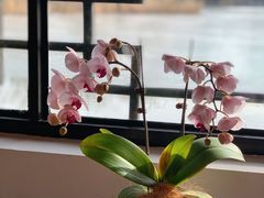 -三忘湖 SWANSEEN(柳荫公园店)