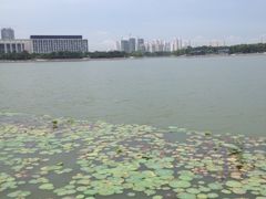 -尚贤河湿地