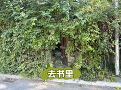 -斯多格书乡(北京大学畅春园店)