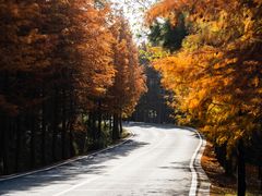 -南京市无想山景区