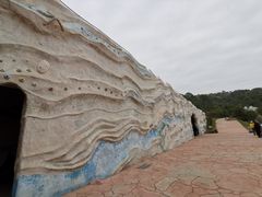 -广东惠东海龟国家级自然保护区