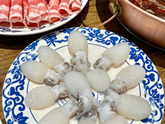 -东镇老火锅(长春路首店)