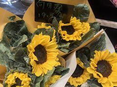 -豆豆花艺(新光天地店)