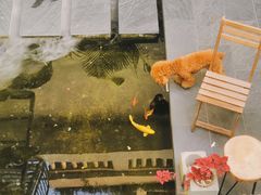 -漫笙舍Manse·咖啡·民宿