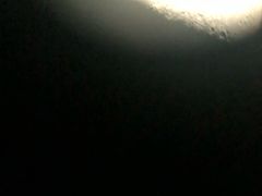-特派卷·老北京烤鸭卷(合生汇购物中心店)