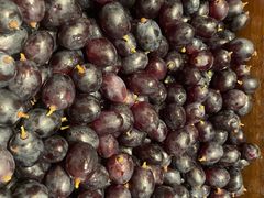 -金玛国宾酒店-自助西餐厅