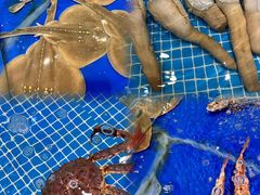 -三亚火车头万人海鲜广场