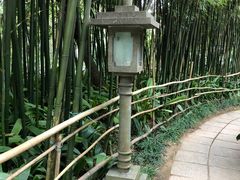 -广州兰圃