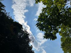 -火炉山森林公园