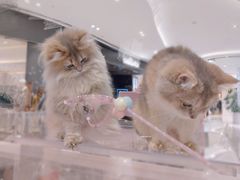 -丽达购物中心(崂山店)