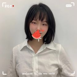 -YESIDO椰岛造型