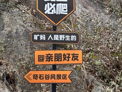 -六里坪国家森林公园