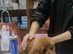 -心仪动物医院·牙专科·肿瘤·心脏科(西客站院)