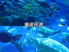 -北京海洋馆
