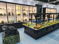 -游龙石文化科普馆