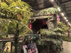 -南宫五洲植物乐园