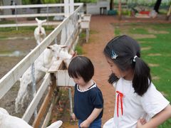 -加顺农场餐厅