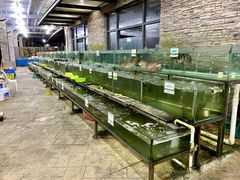 -钱大妈海鲜饭店(保利林语店)