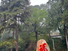 -北京鹫峰国家森林公园
