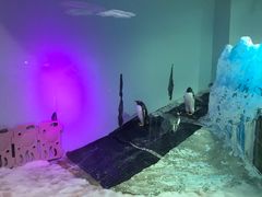 -正佳极地海洋世界