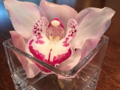 -上海佘山茂御臻品之选酒店(原佘山艾美酒店)