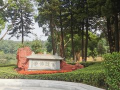 -南国桃园旅游度假区