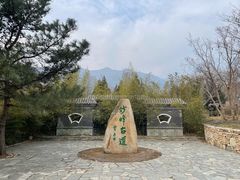 -阳台山自然风景区